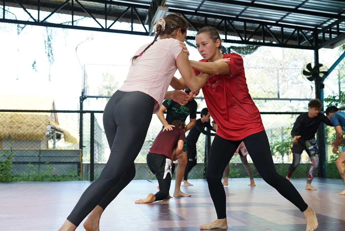 Alfa Brazilian jiu-jitsu 3