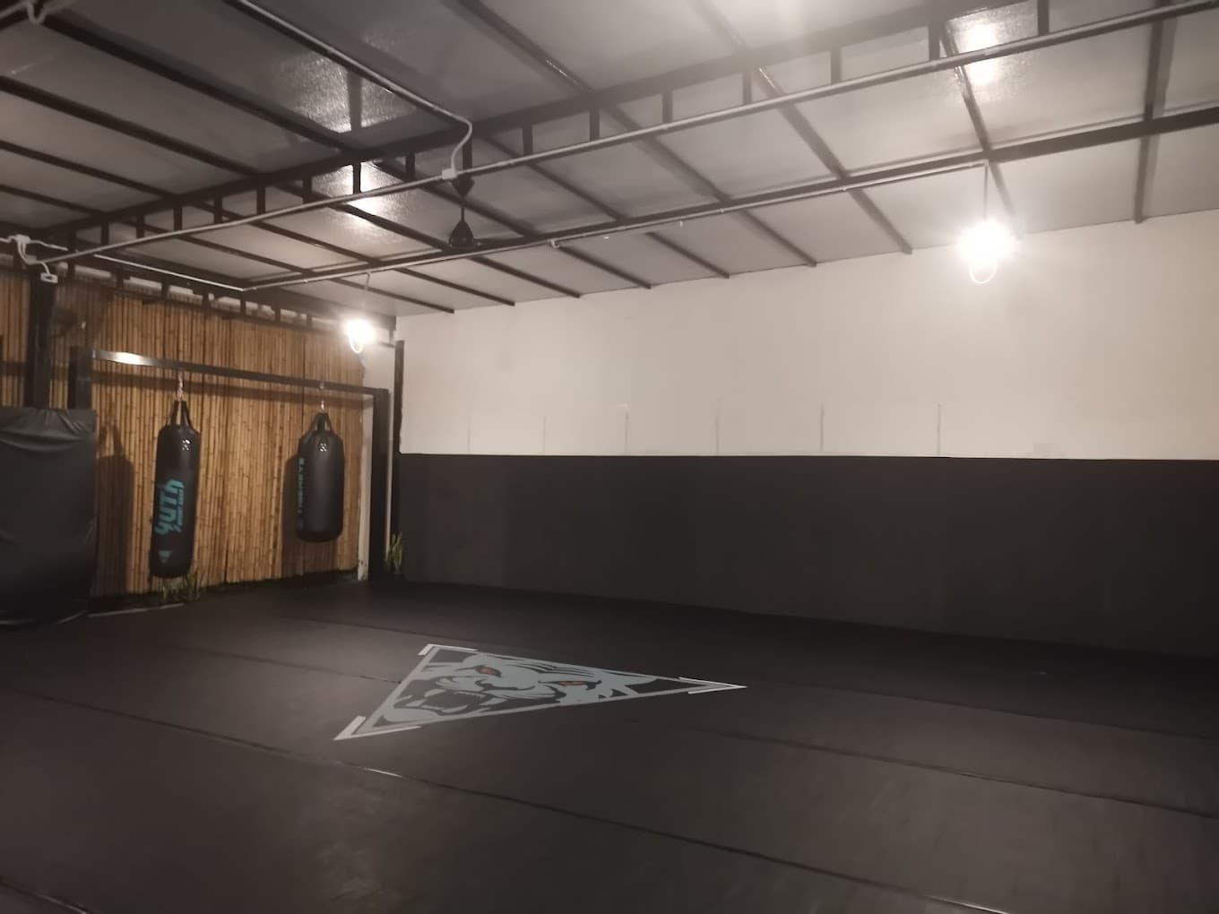 Tiger Eye Muay Thai and MMA 2