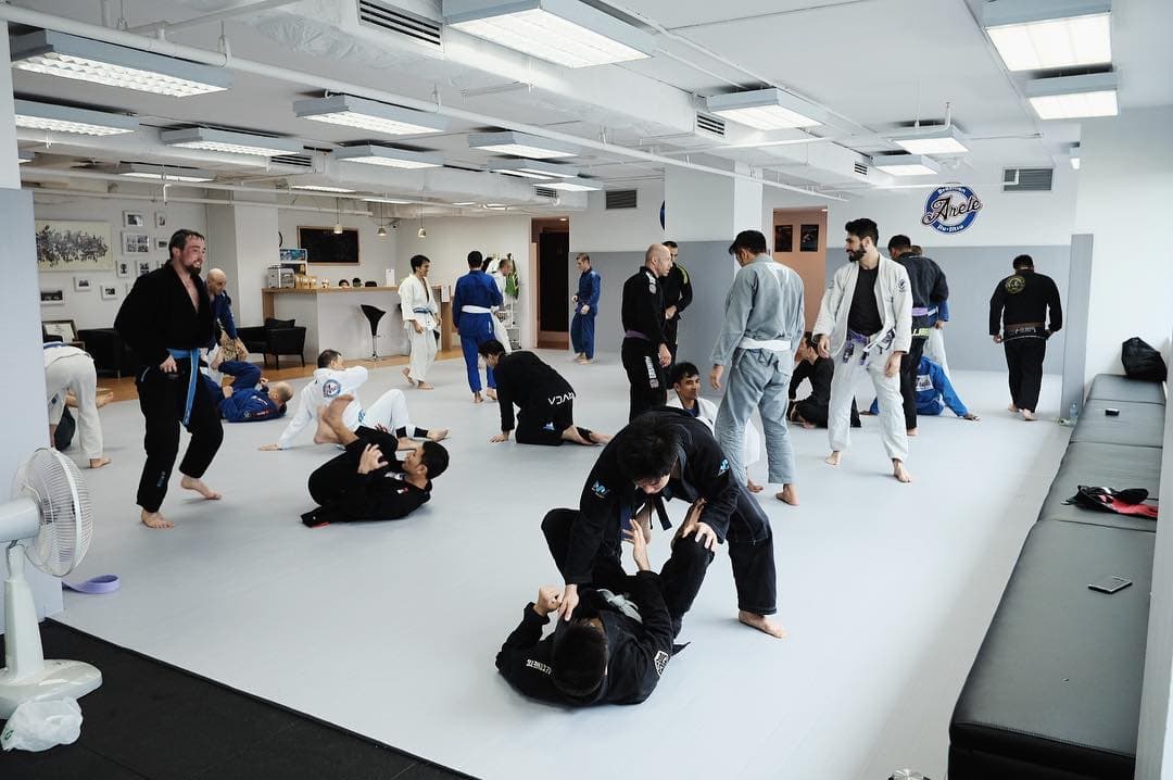 Arete Brazilian Jiu-Jitsu 3