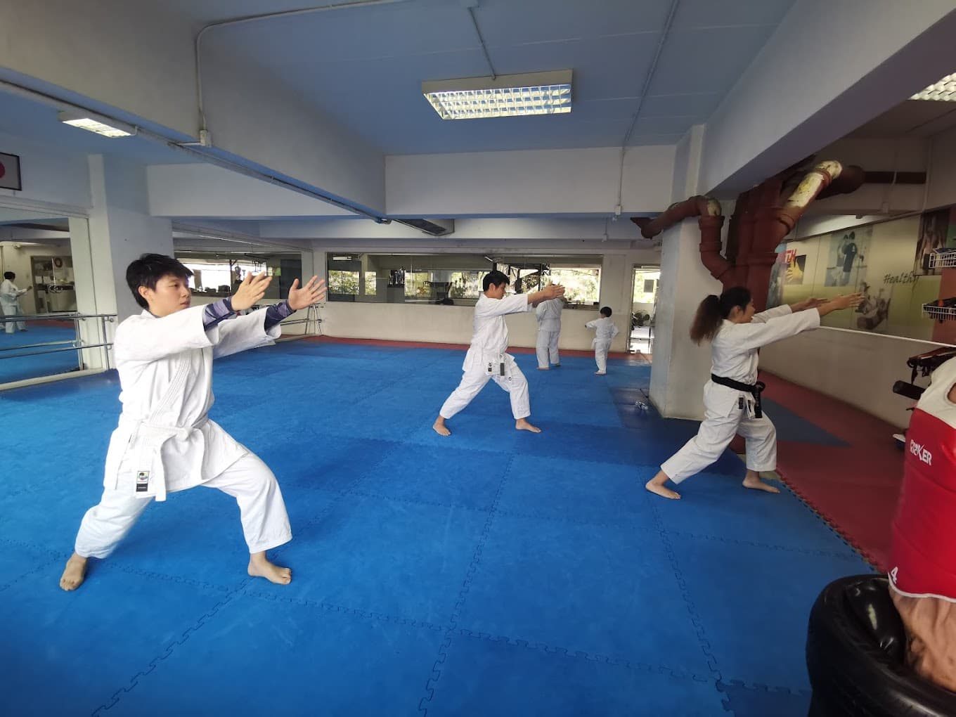Executive Martial Arts Centre