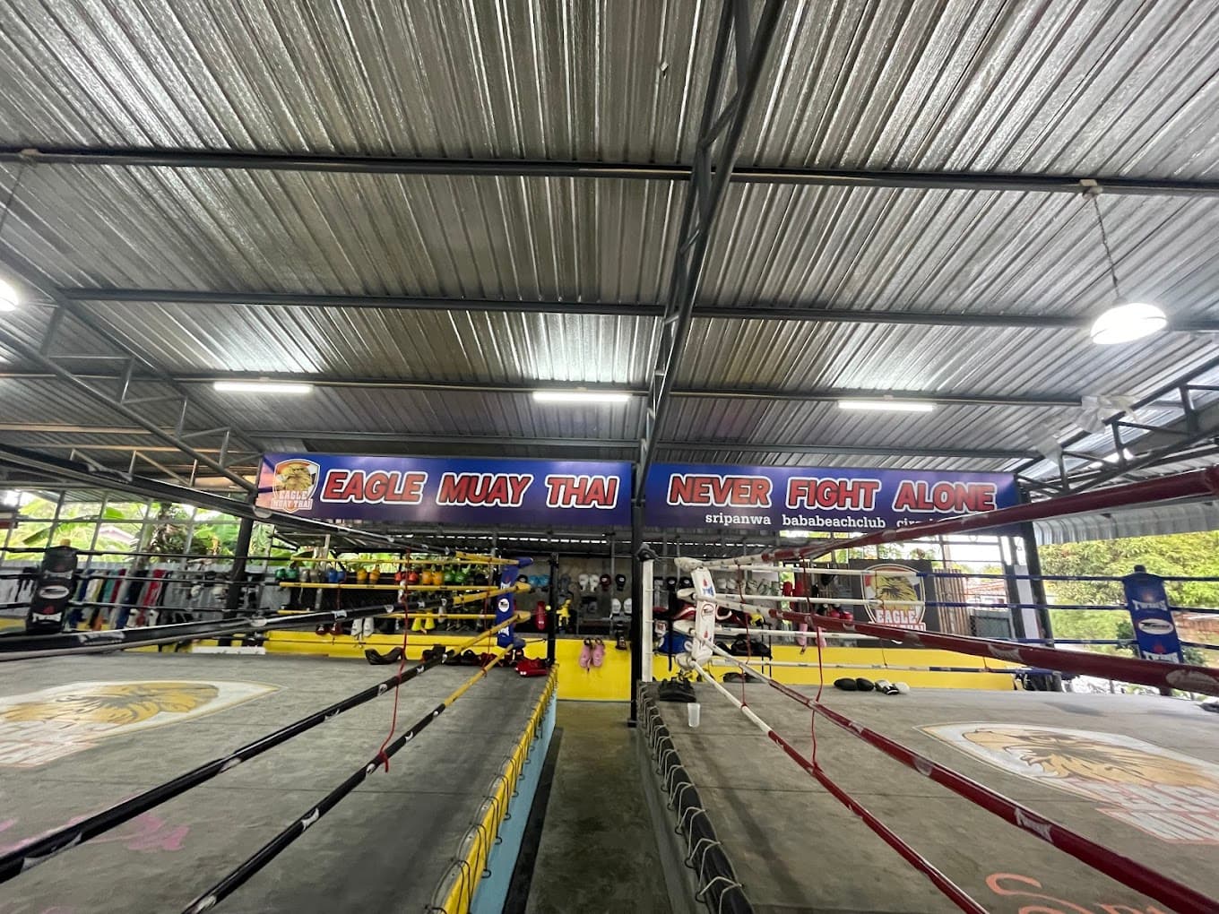 Eagle Muay Thai Boxing Gym 5