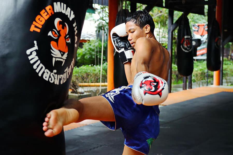 Tiger Muay Thai
